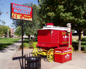 Farmers Market in Hutchinson, MN